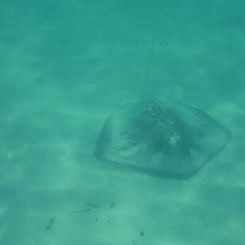 DSCF0963