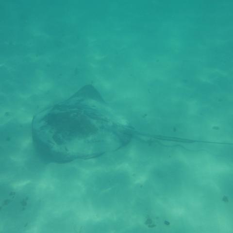 DSCF0969