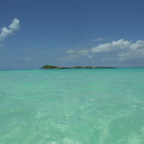 DSCF0982