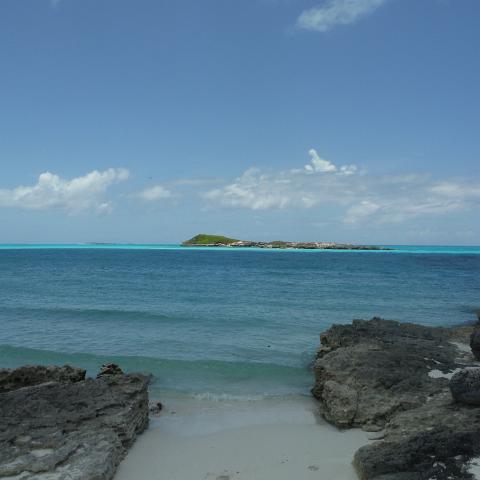 DSCF0983