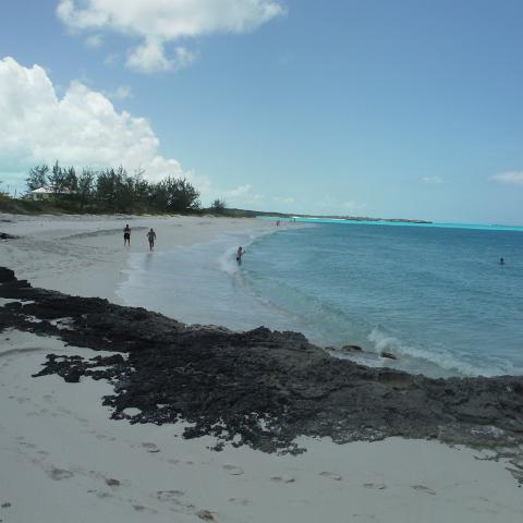 DSCF0984