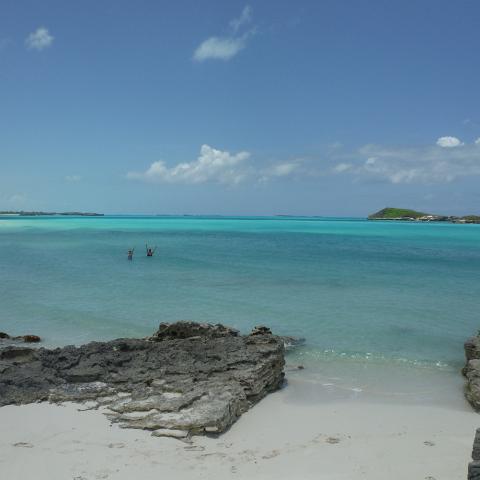 DSCF0993