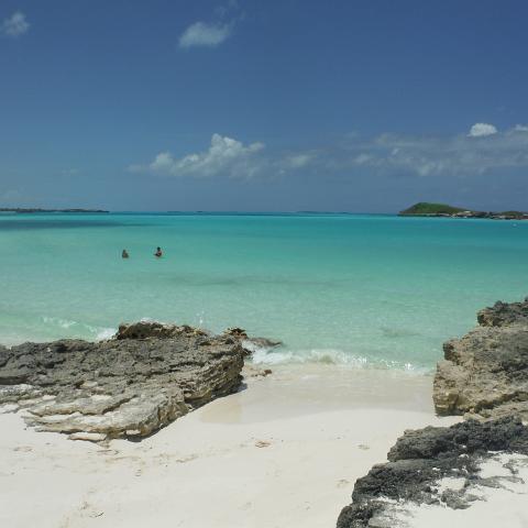 DSCF0996