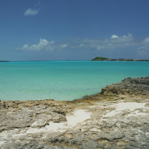 DSCF0997