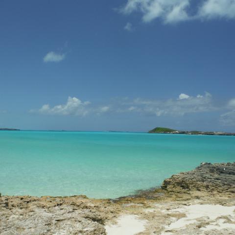 DSCF0999