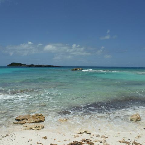 DSCF1006