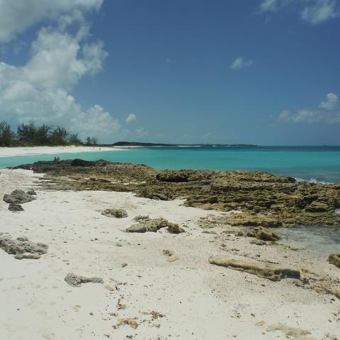 DSCF1007