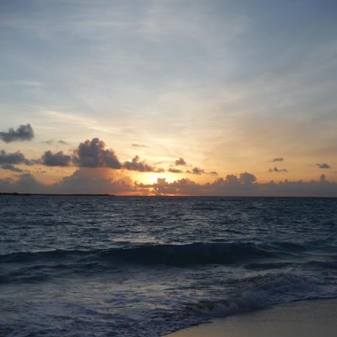 DSCF1088
