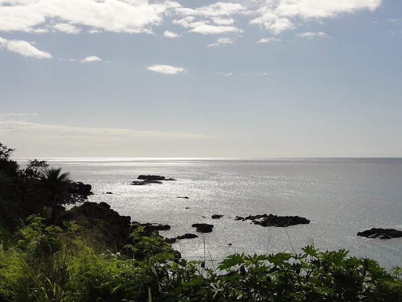 DSC00594.JPG