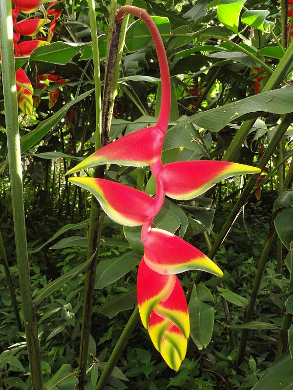 DSC01272.JPG