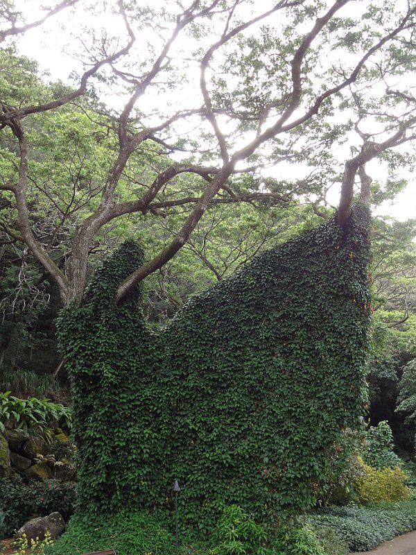 DSC01286.JPG