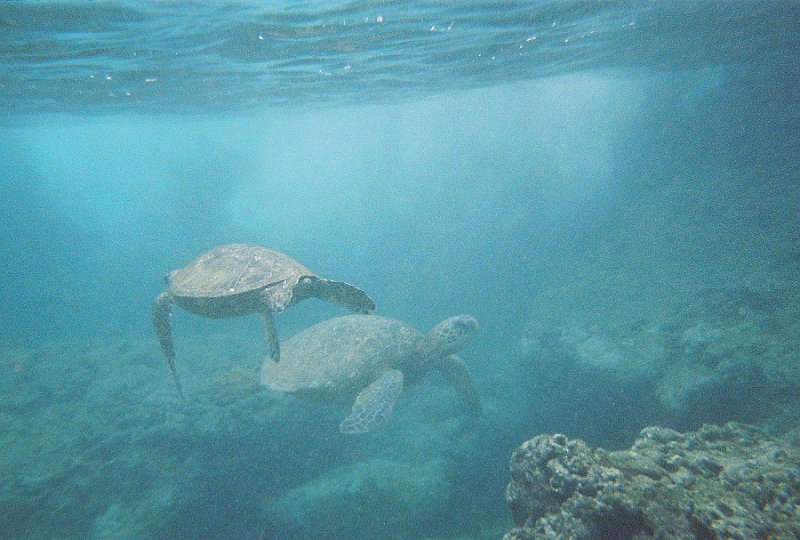 R1-21A.jpg