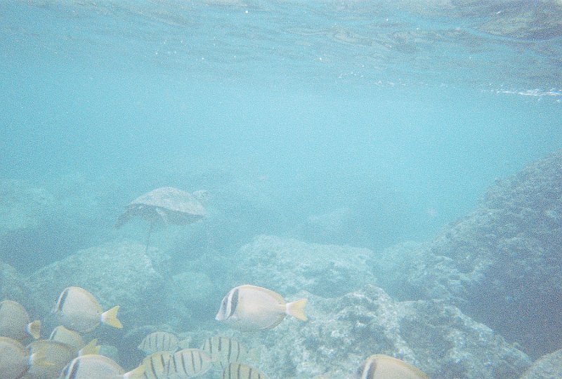 R1-22A.jpg