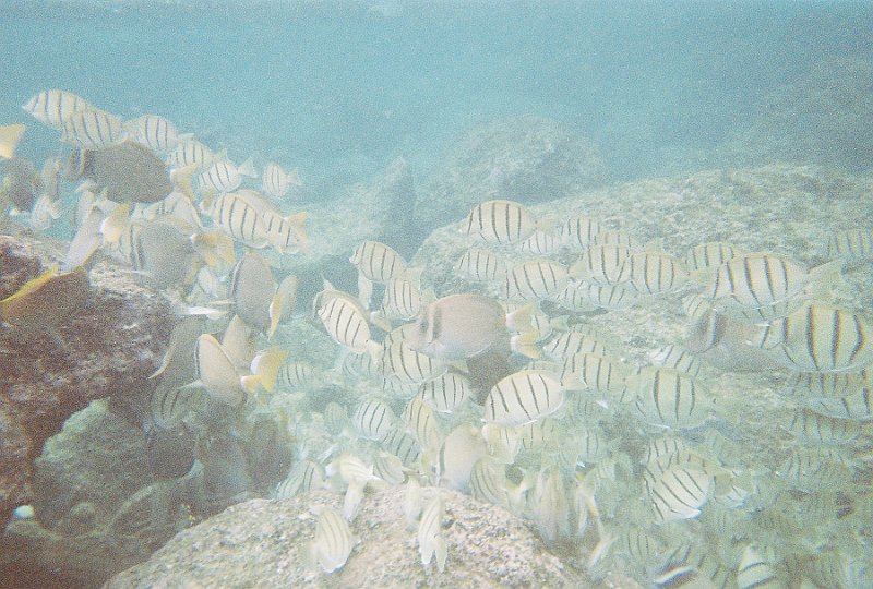 R1-23A.jpg