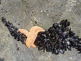 DSC00197
