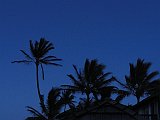 DSC00263