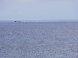 DSC00336