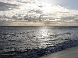 DSC00431