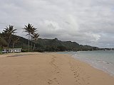 DSC00436