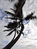 DSC00438