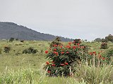 DSC00468