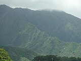 DSC00485