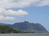 DSC00503
