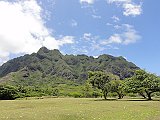 DSC00523