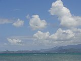 DSC00533