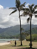 DSC00537