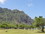 DSC00553