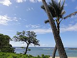 DSC00583