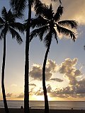 DSC00603