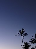 DSC00679