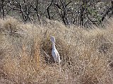 DSC00698