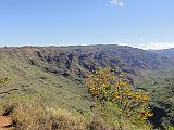 DSC00703