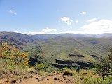DSC00704