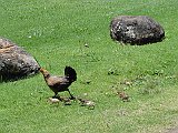 DSC00861