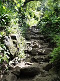 DSC00900