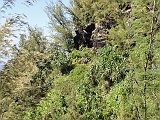 DSC00942