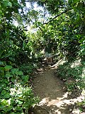 DSC00983