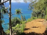 DSC00996