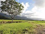 DSC01058