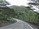 DSC01080