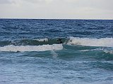 DSC01104