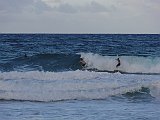 DSC01108