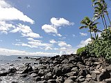 DSC01154
