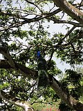 DSC01203