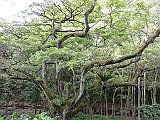 DSC01218
