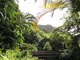DSC01260